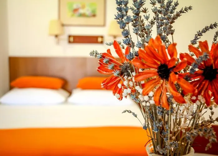 Family-friendly With Swimming Pool Nevidjane, Pasman - 18054 *