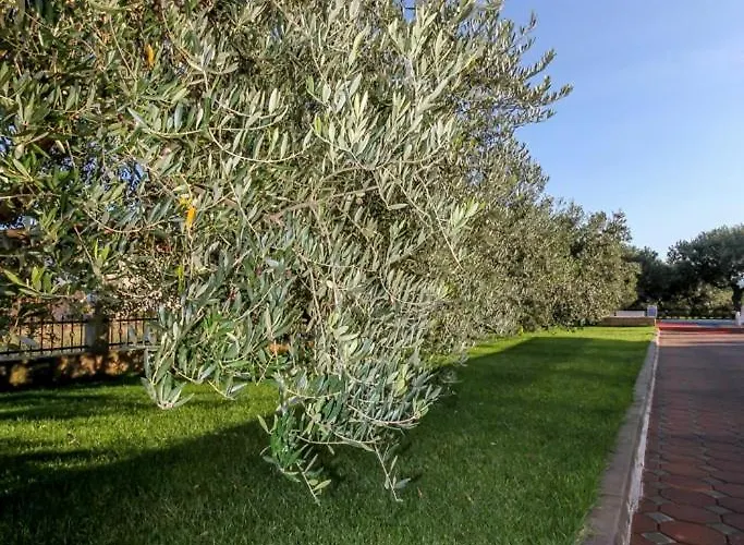 Family-friendly With Swimming Pool Nevidjane, Pasman - 18054 شقة *